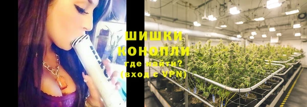 ПСИЛОЦИБИНОВЫЕ ГРИБЫ Алексеевка